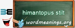 WordMeaning blackboard for himantopus stilt